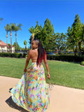 Spring Fling Dress